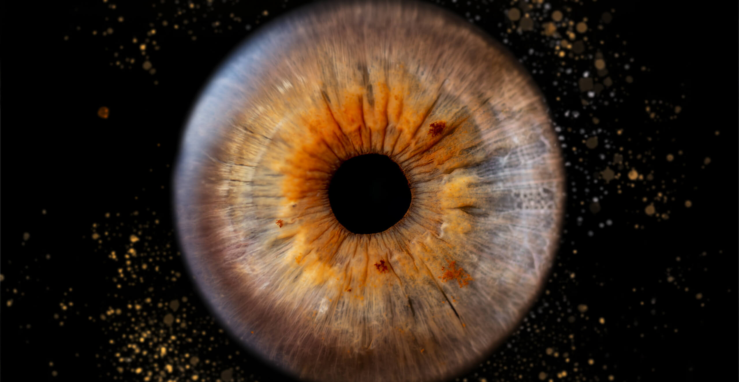 Braune und blaue Iris, schwarze Pupille, auf dunklem Hintergrund.