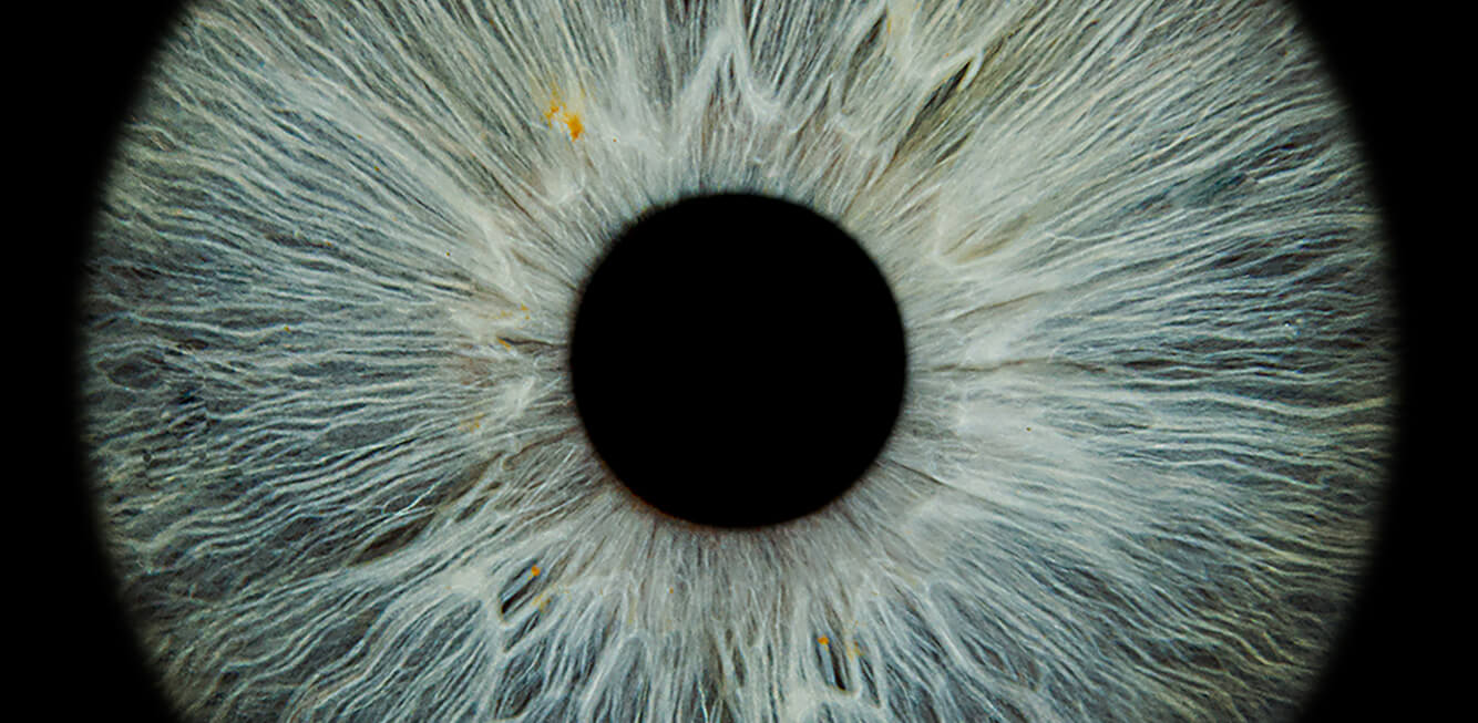 Nahaufnahme einer graublauen Iris mit schwarzer Pupille.